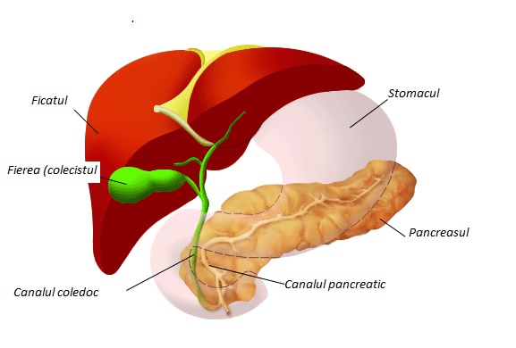 regim alimentar pentru ficat si pancreas