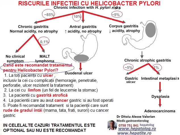 Perceivable Retired they Helicobacter pilory- o bacterie care te omoara ….mai ales cand iei  tratament? | | 0758 751 841